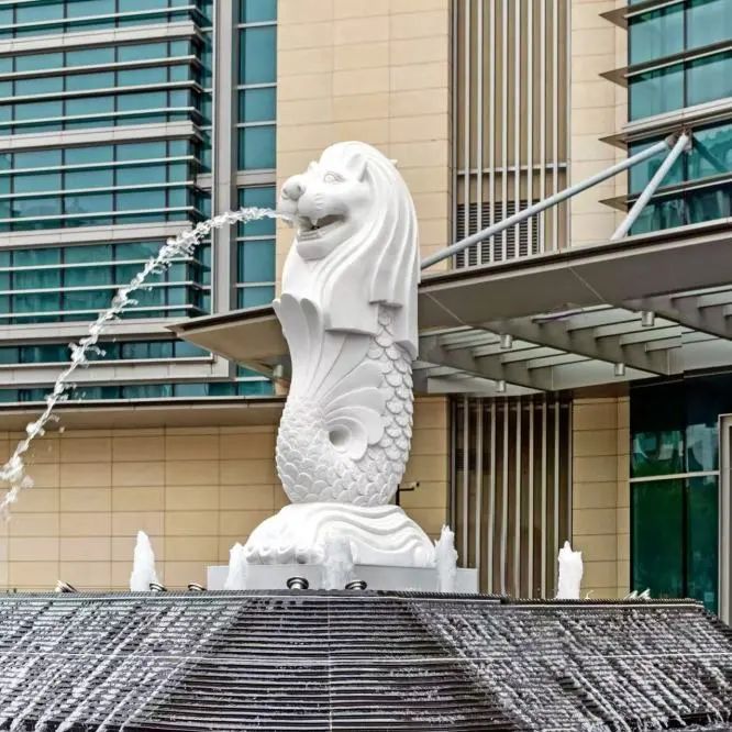 解锁夏令营进阶体验：到莱佛士做健康检查，夏令营精彩不等待